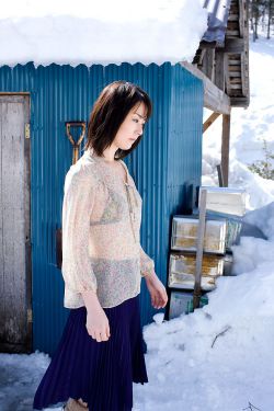 坚如磐石在线观看免费高清国语电影